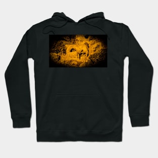 Animal skull stone sculpture H Hoodie